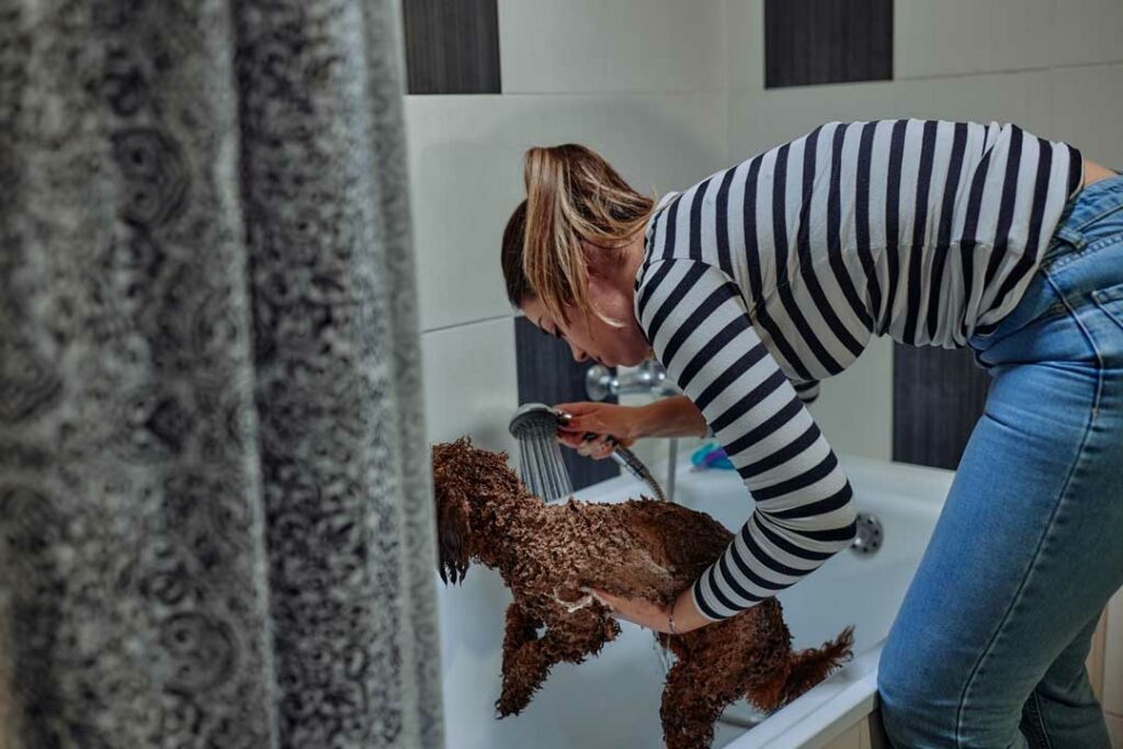 putting your dog in the tub